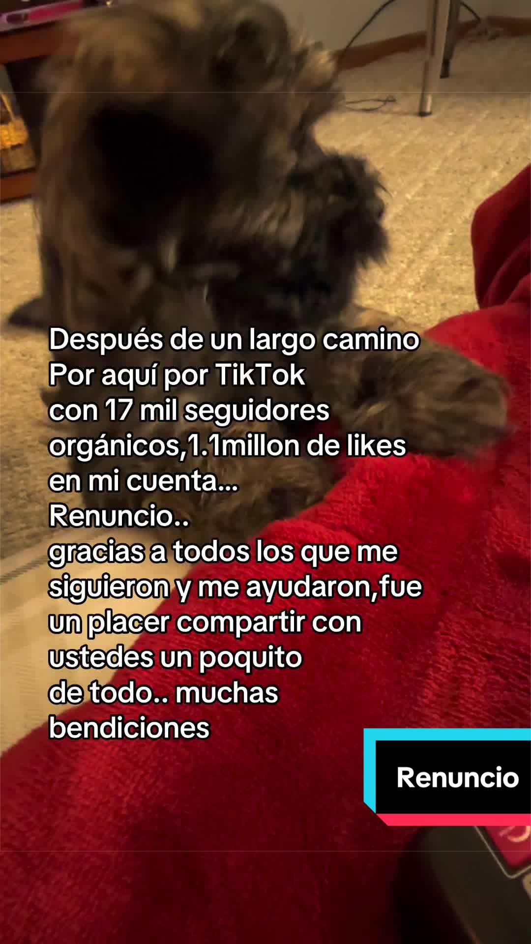 @Yohandragonz
