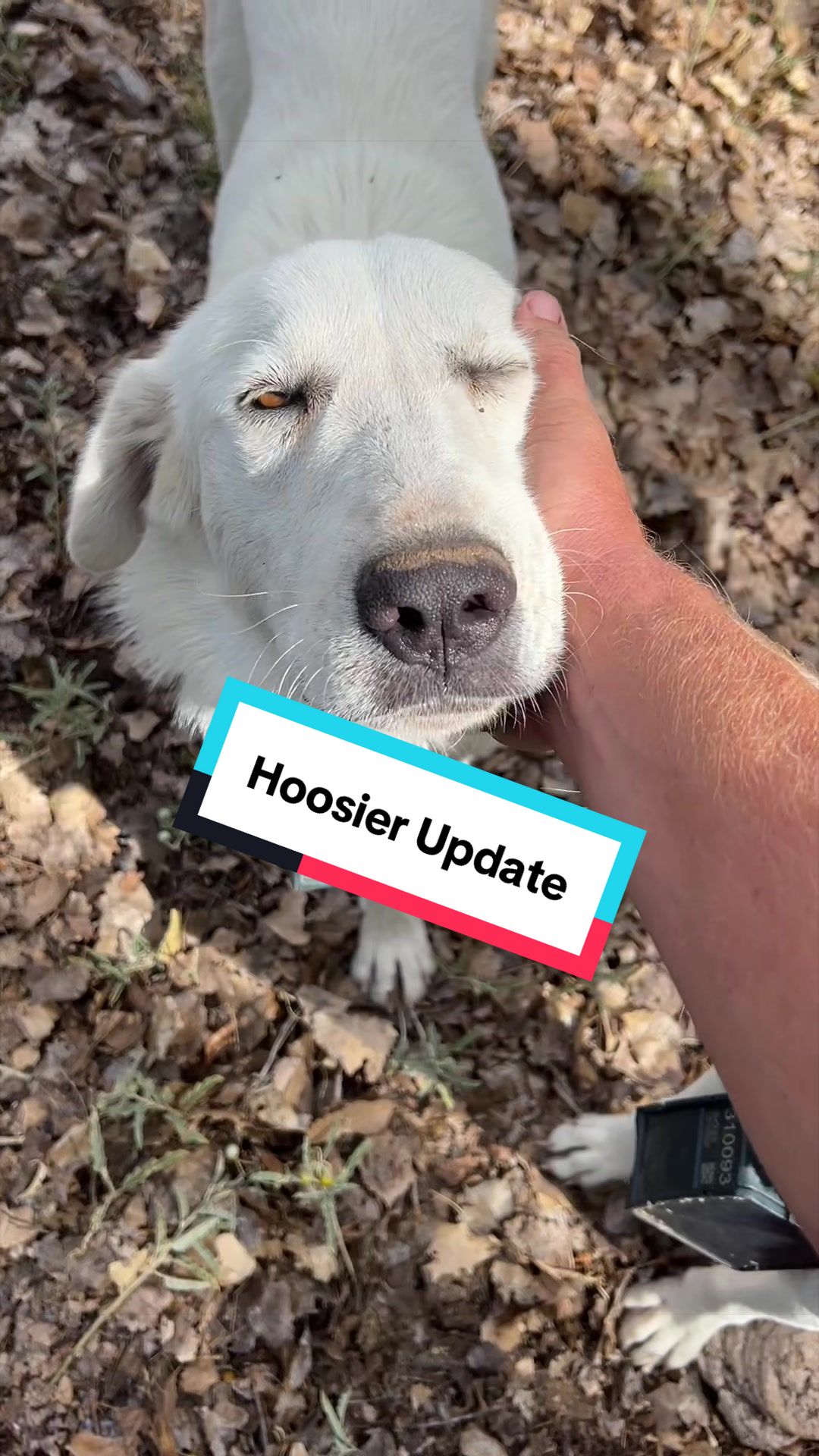 @cowboymax
