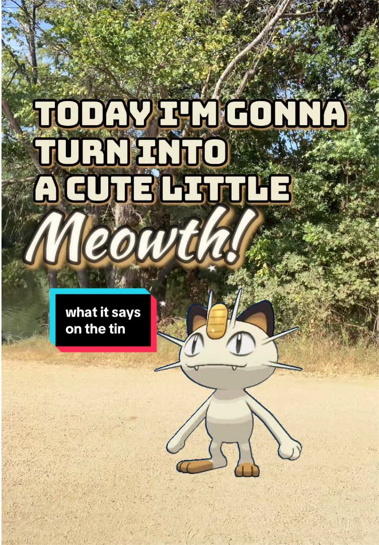 @thomas laserbeam