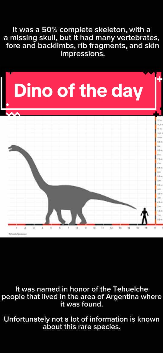 @Dino Of The Day