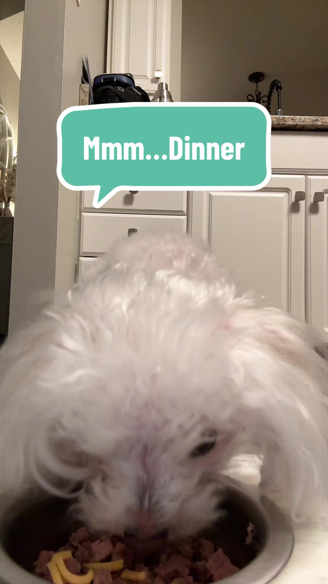 @TimmyyB