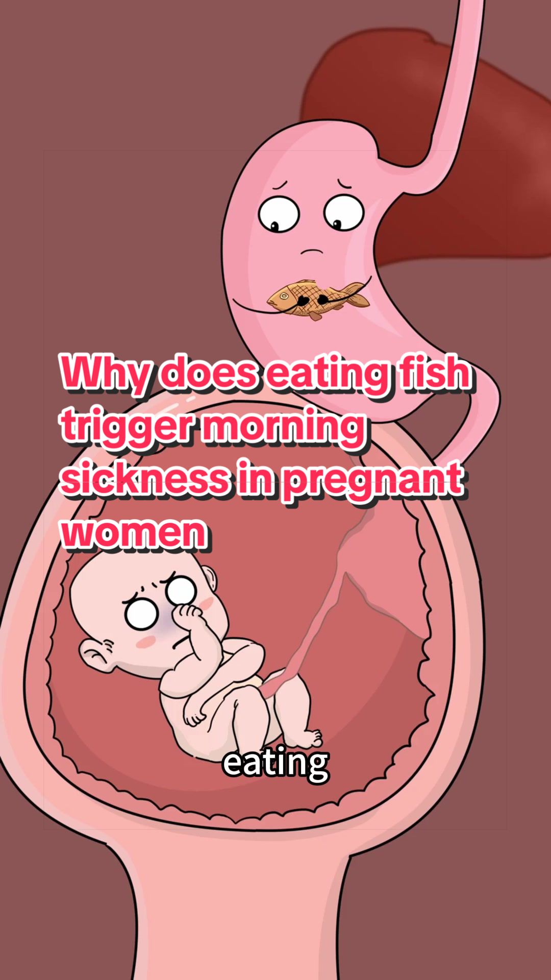 @Funny Animations