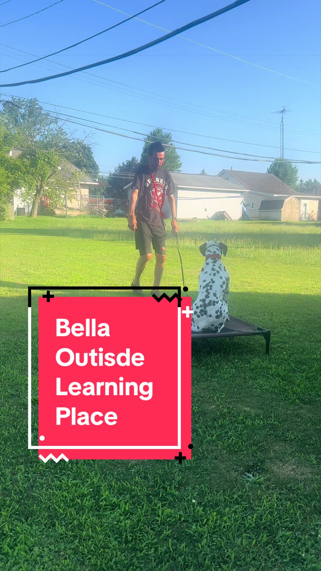 @Fully Unleashed K9 Training