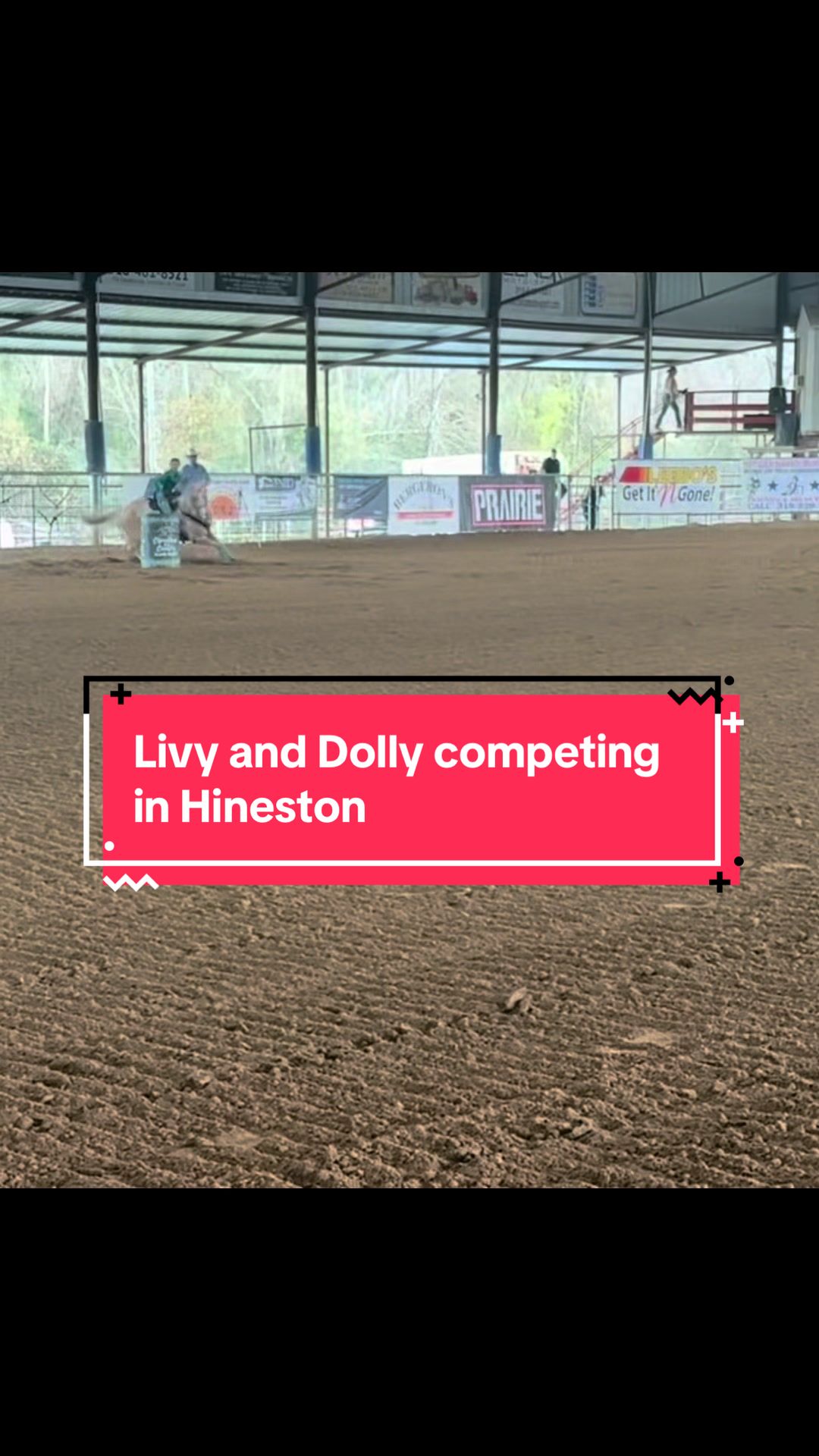 @livysride