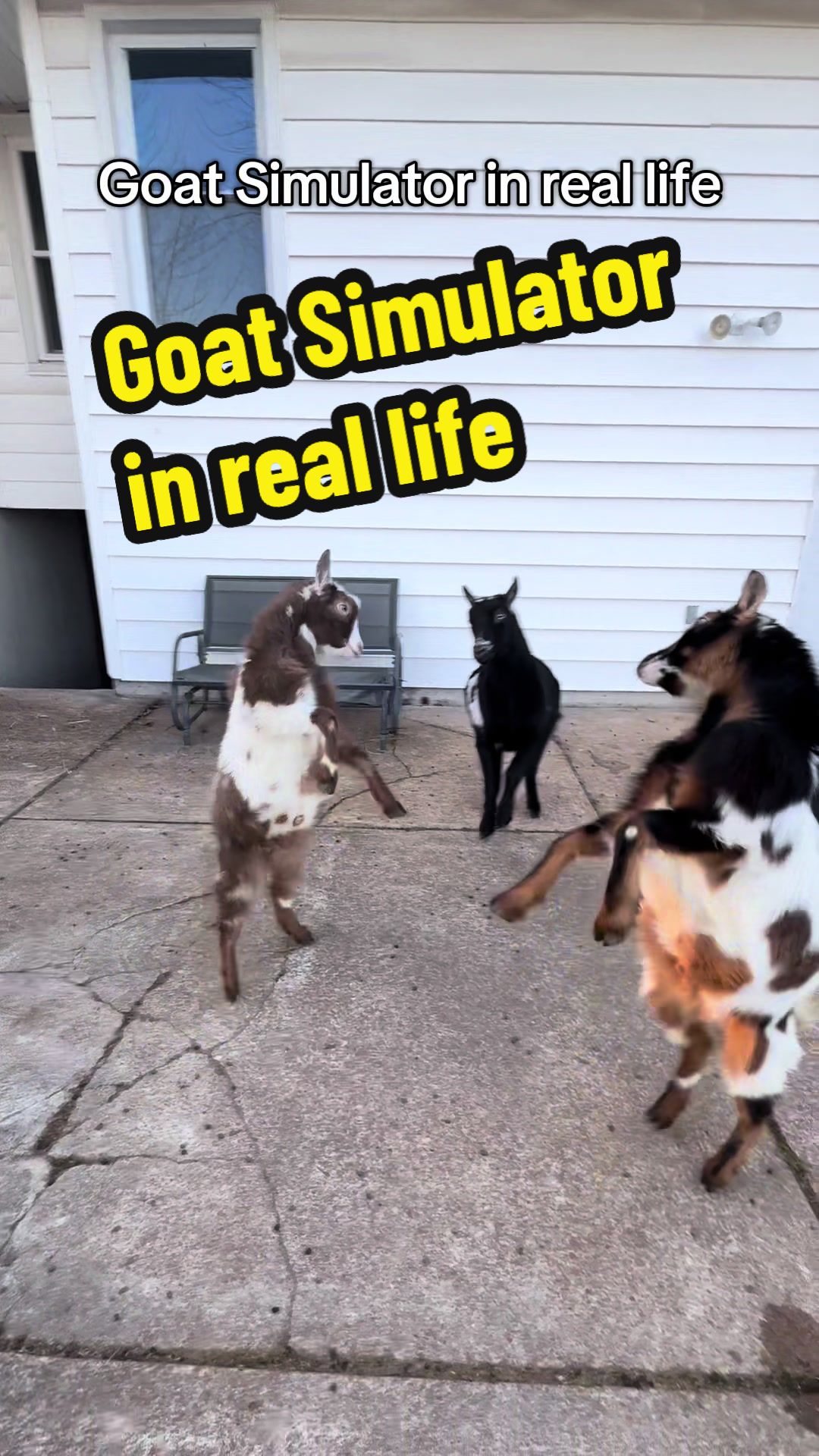 @KidsOnKerth 🐐 Hannah 💀🎃👻