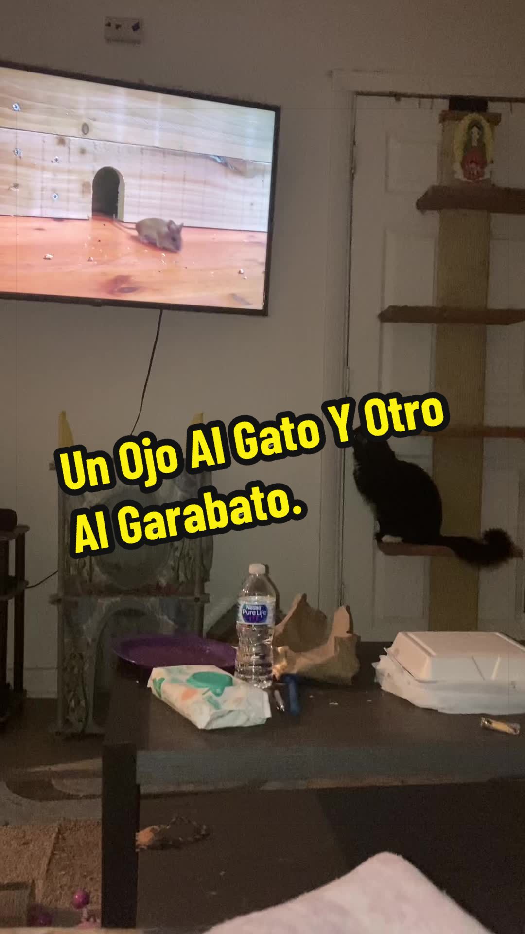 @🦖 MEOWassic World 🌎