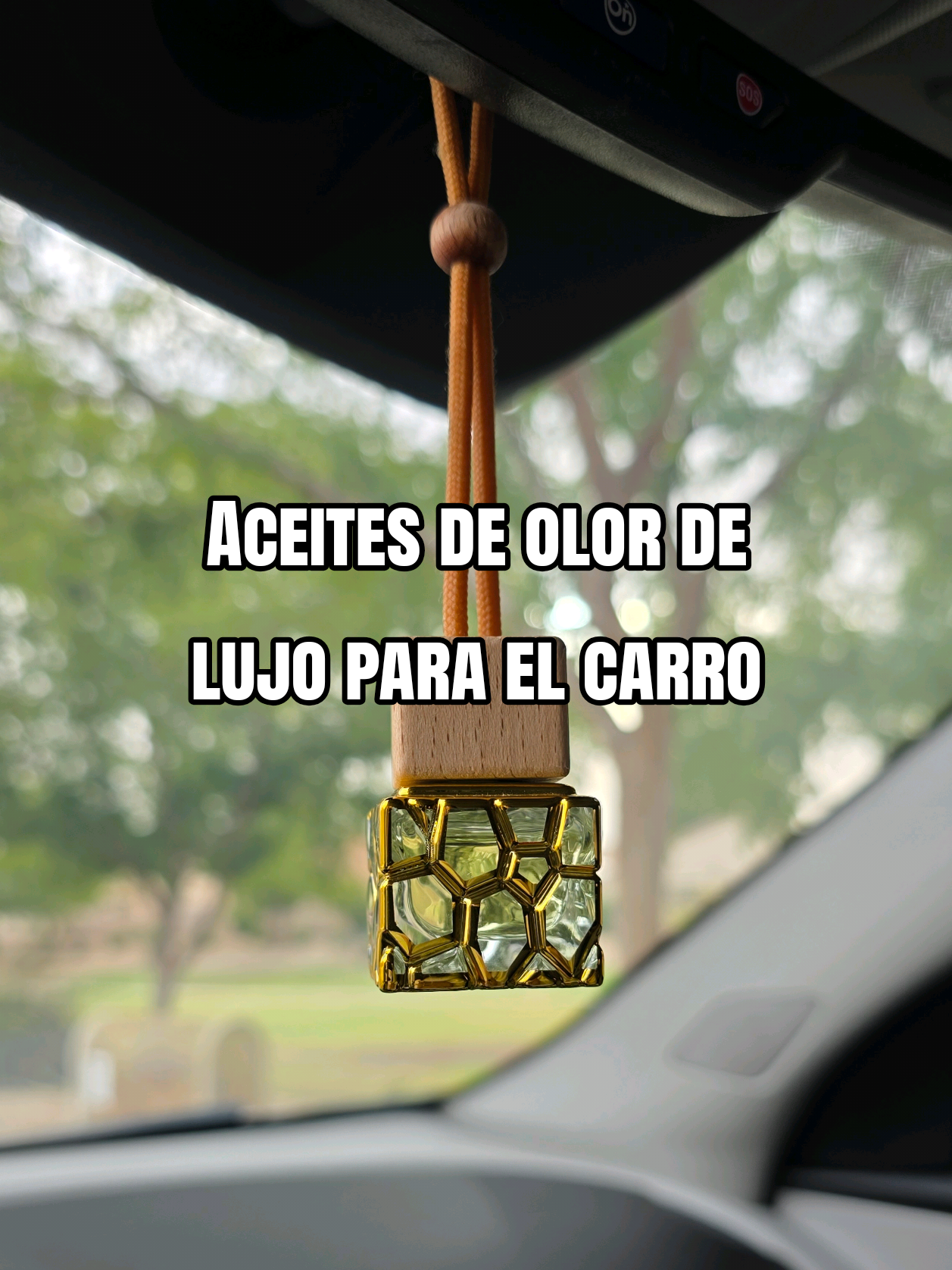 @Beatriz Miranda