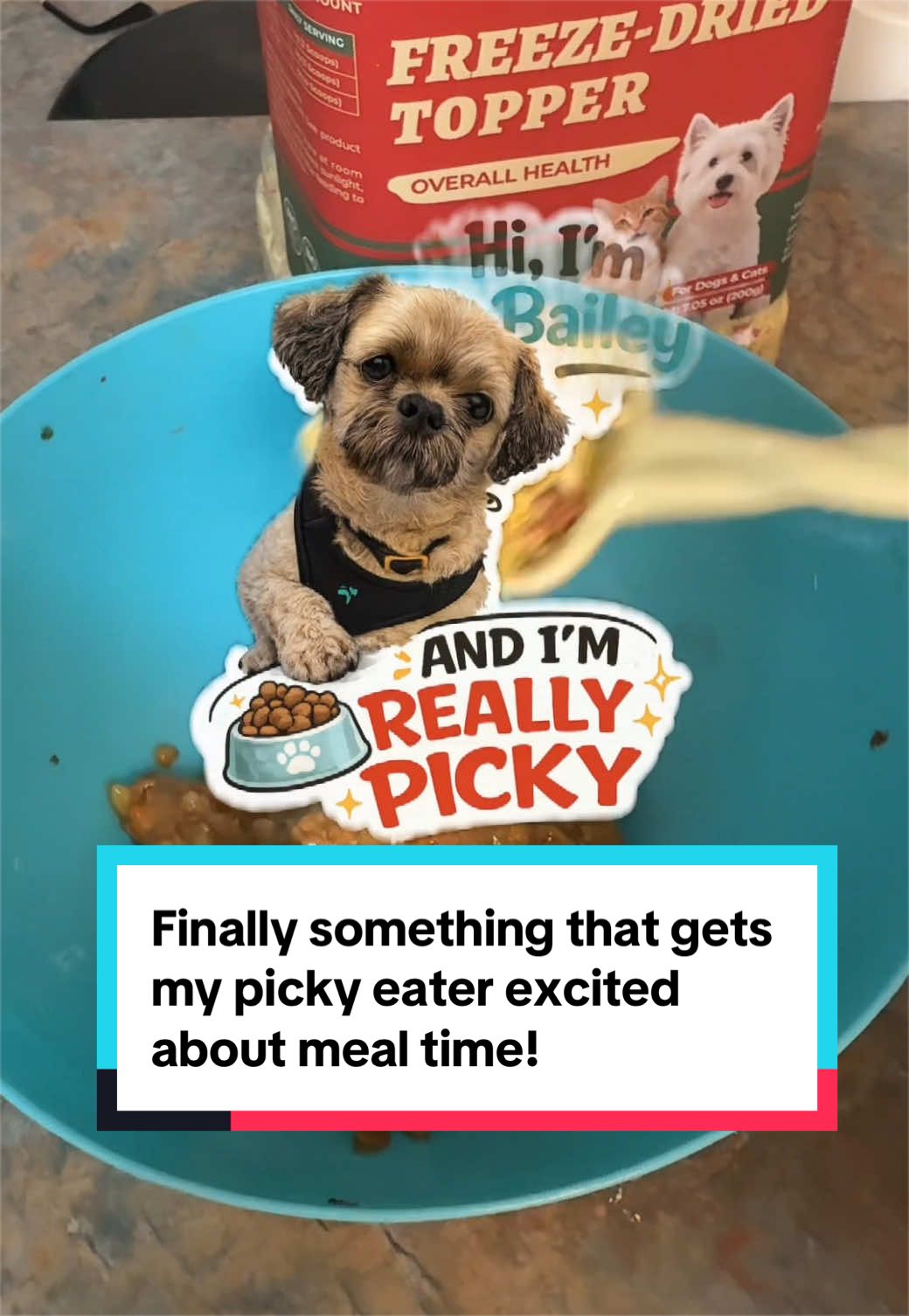 @Spice Of Likes