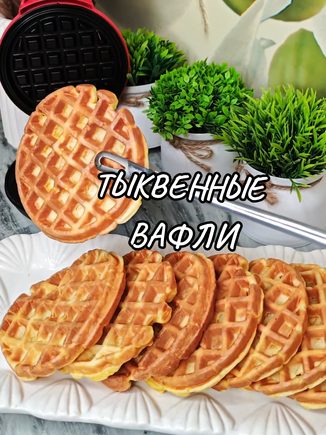 @Galina