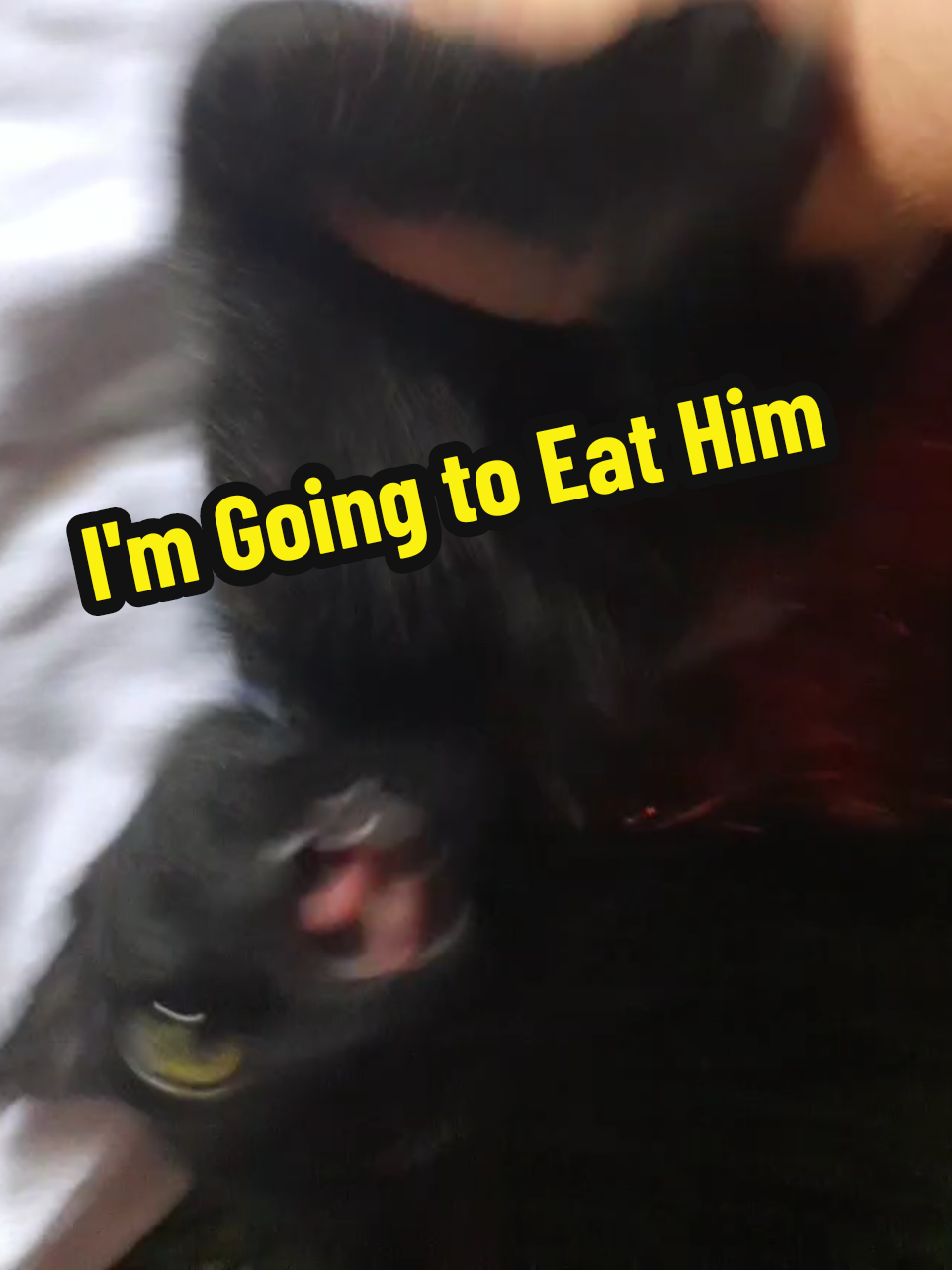 @ProfessorBees
