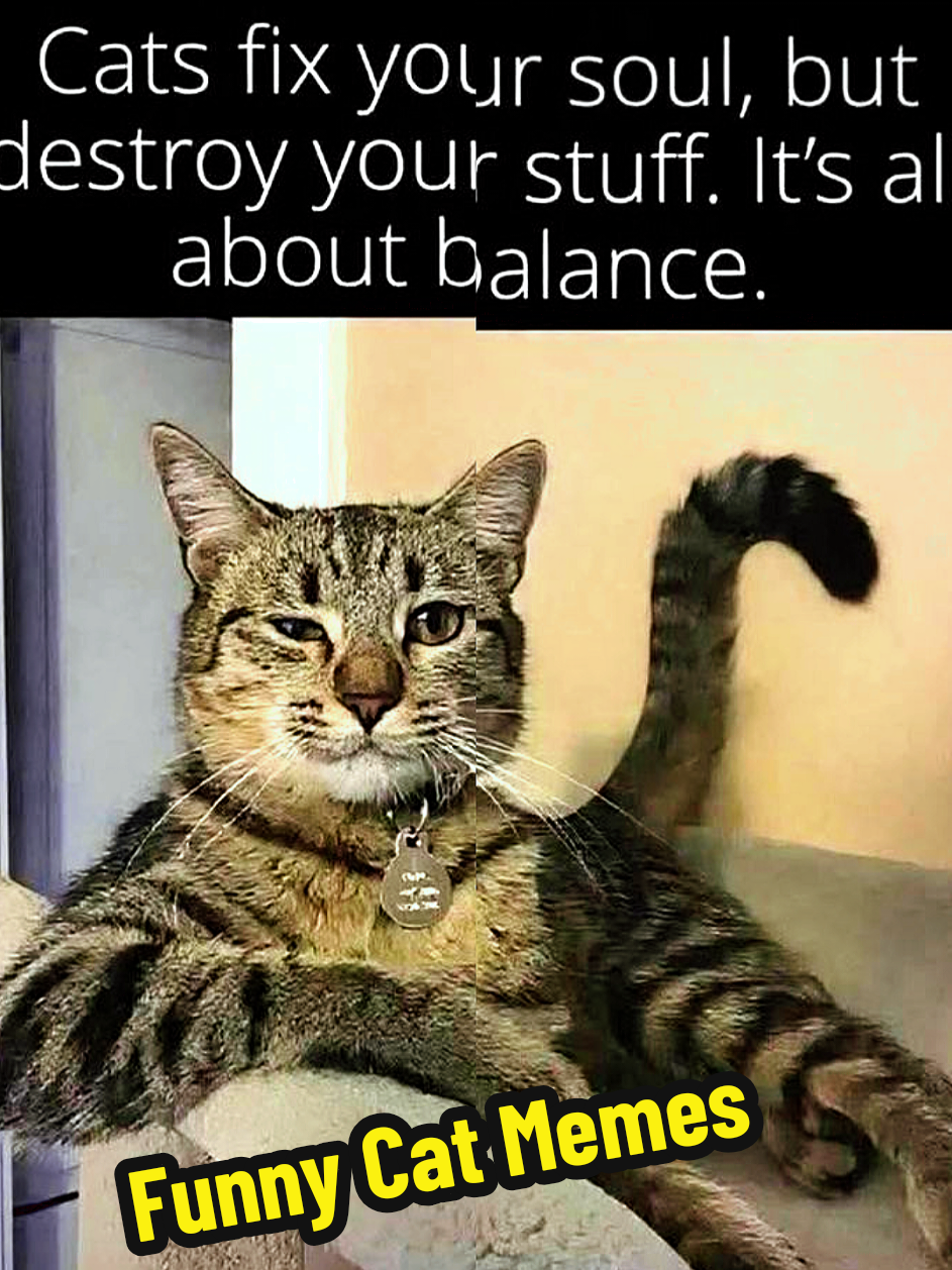 @MOTHEROFCATZ777