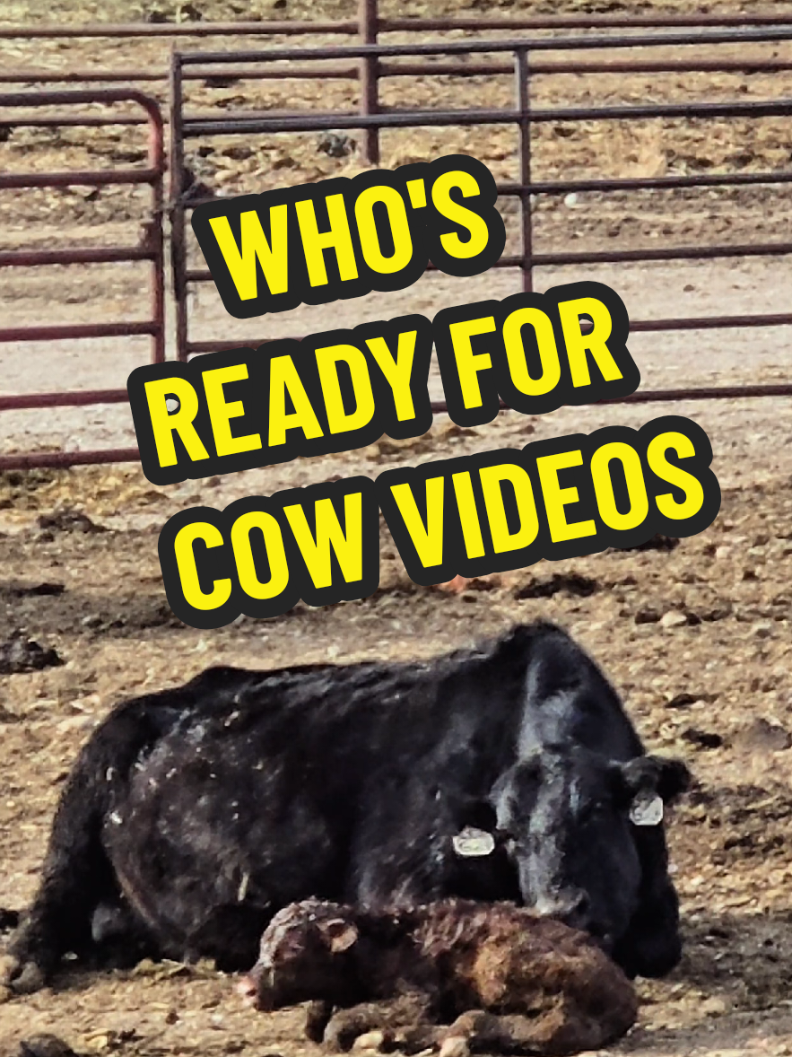 @1HANDNFARMING 🦾🌾🐂🚜
