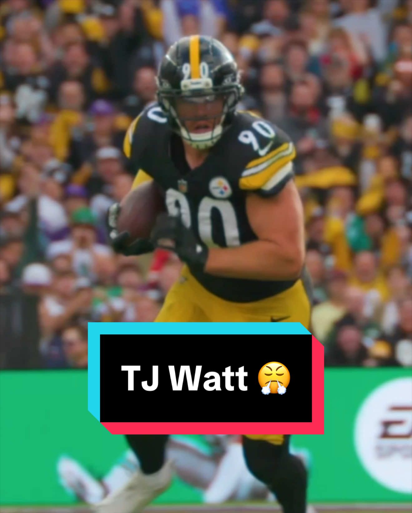 @Pittsburgh Steelers