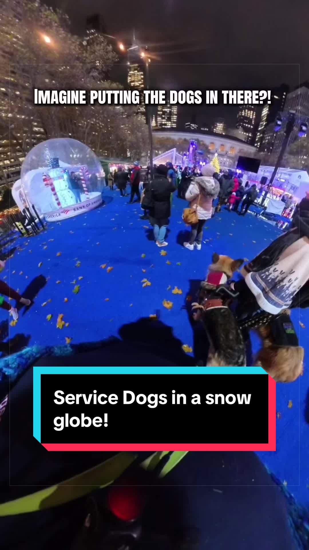 @Dakota & Pups