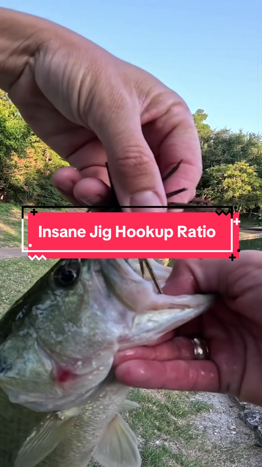 @TylersReelFishing