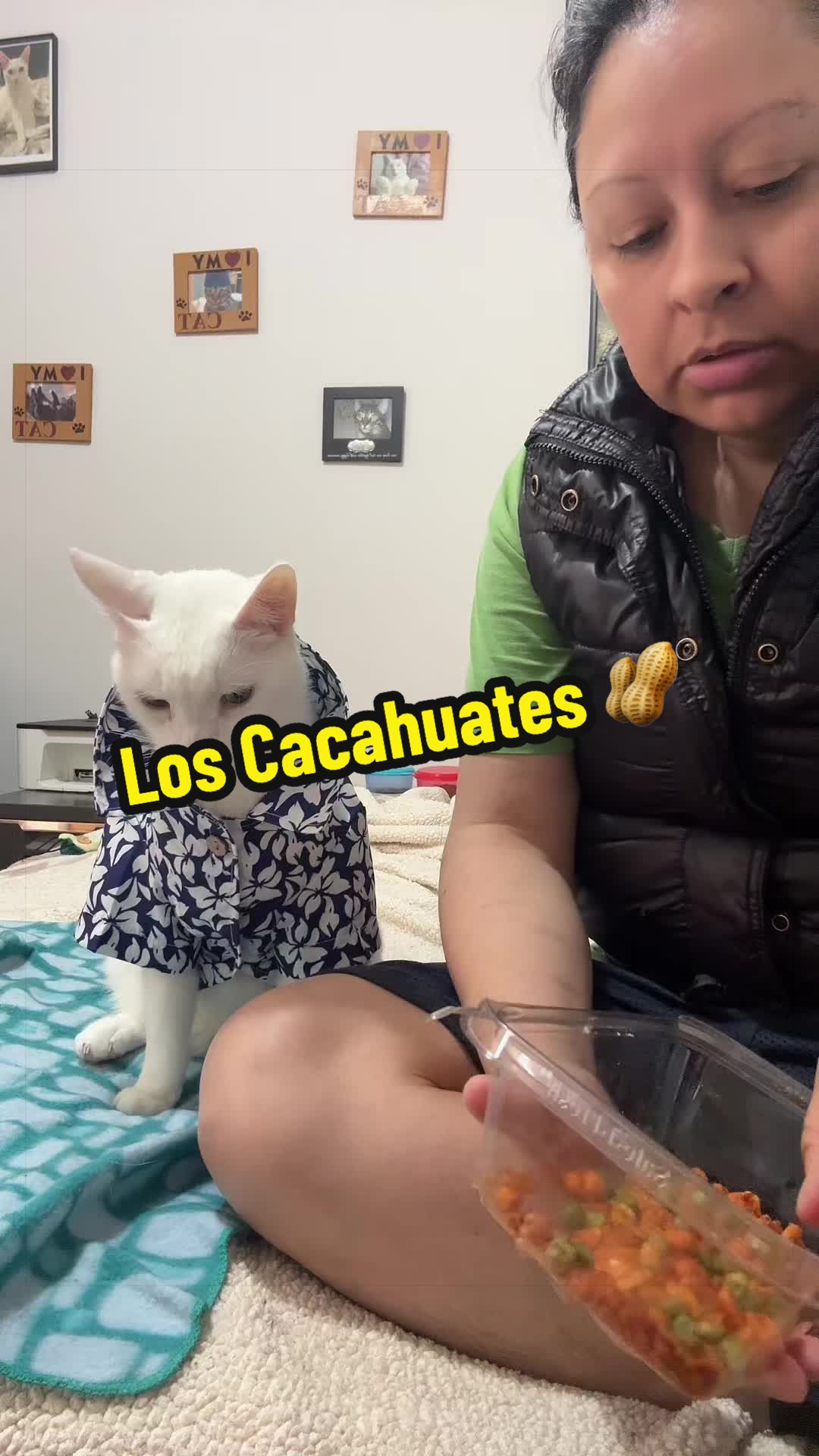 @🦖 MEOWassic CAT😺