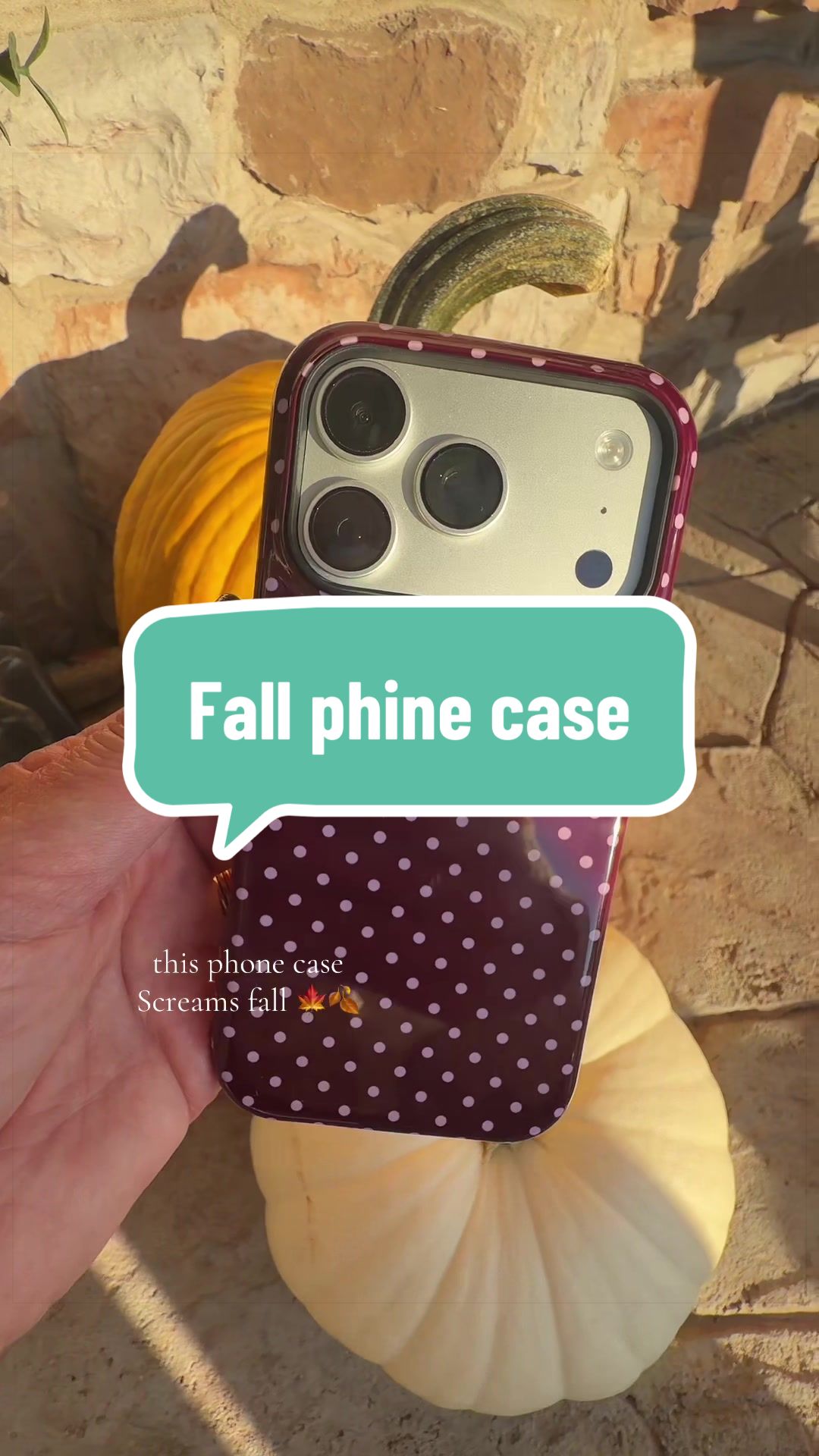 @🐾My3DogLife🐾