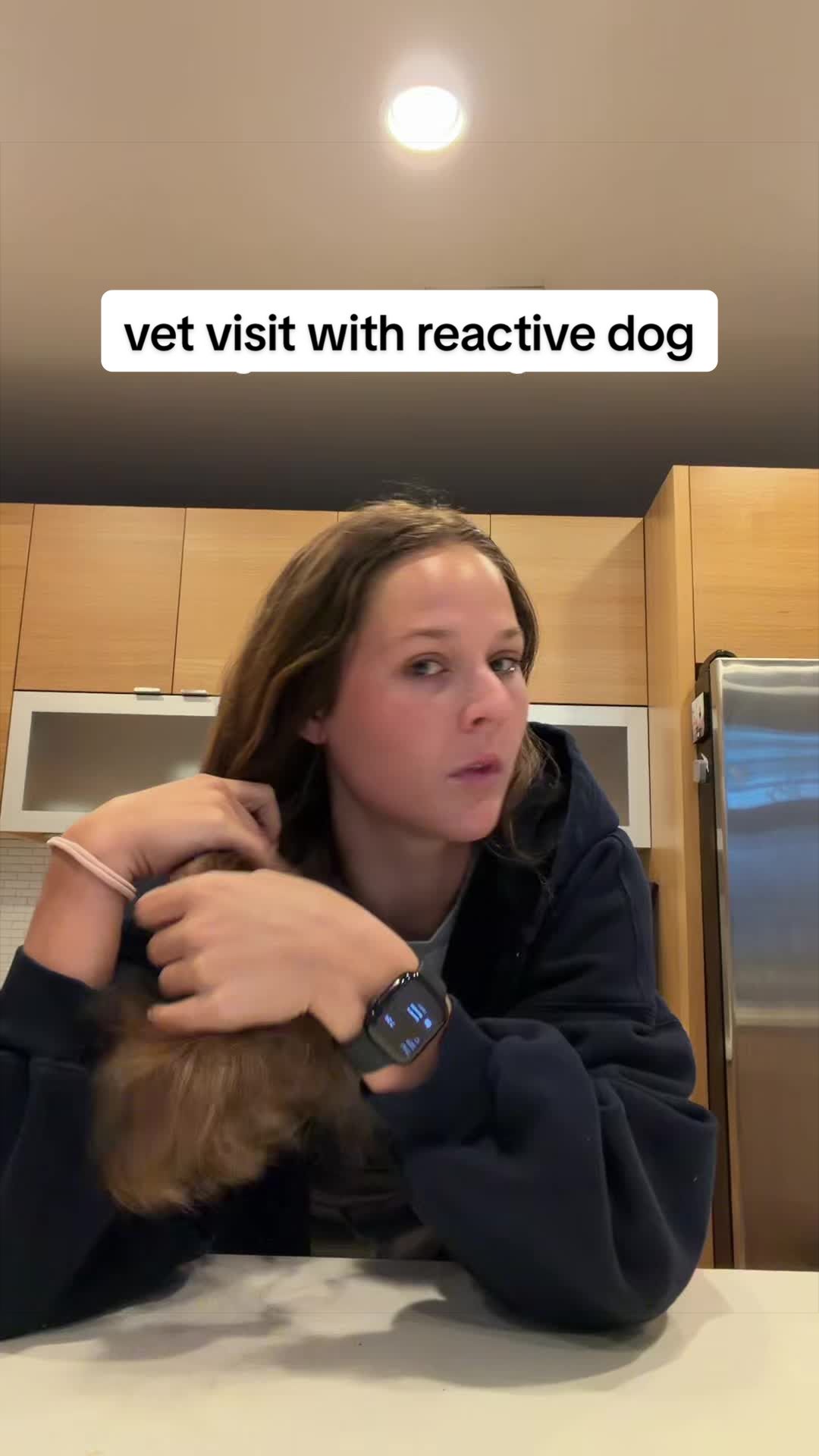 @Abby KPA-CTP | Dog Trainer