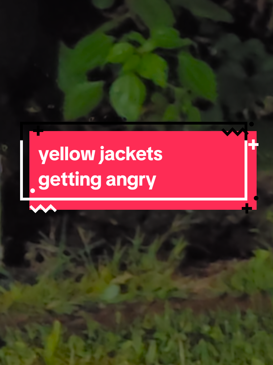 @George Walters