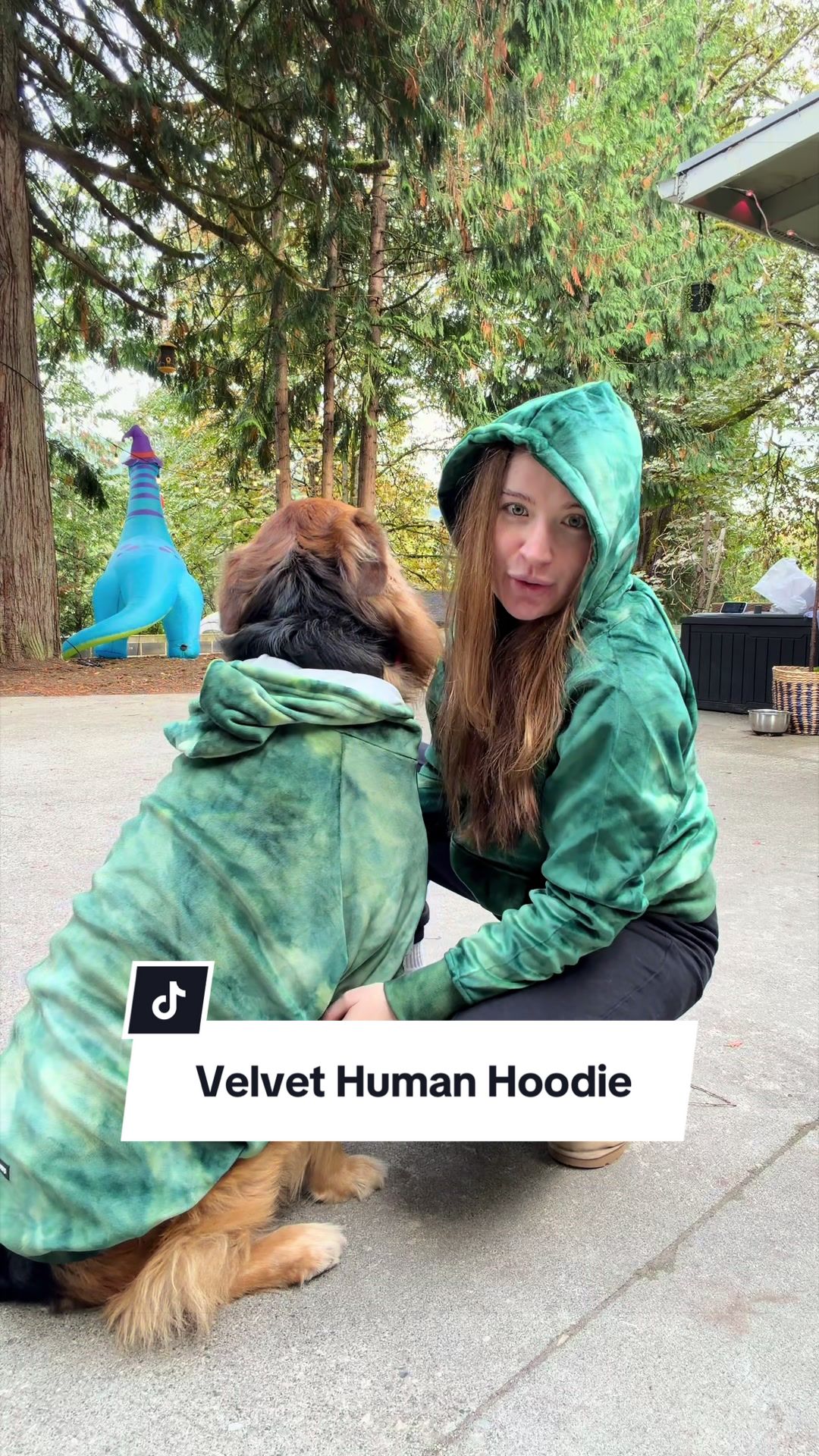 @lifewithgoldenshepherds