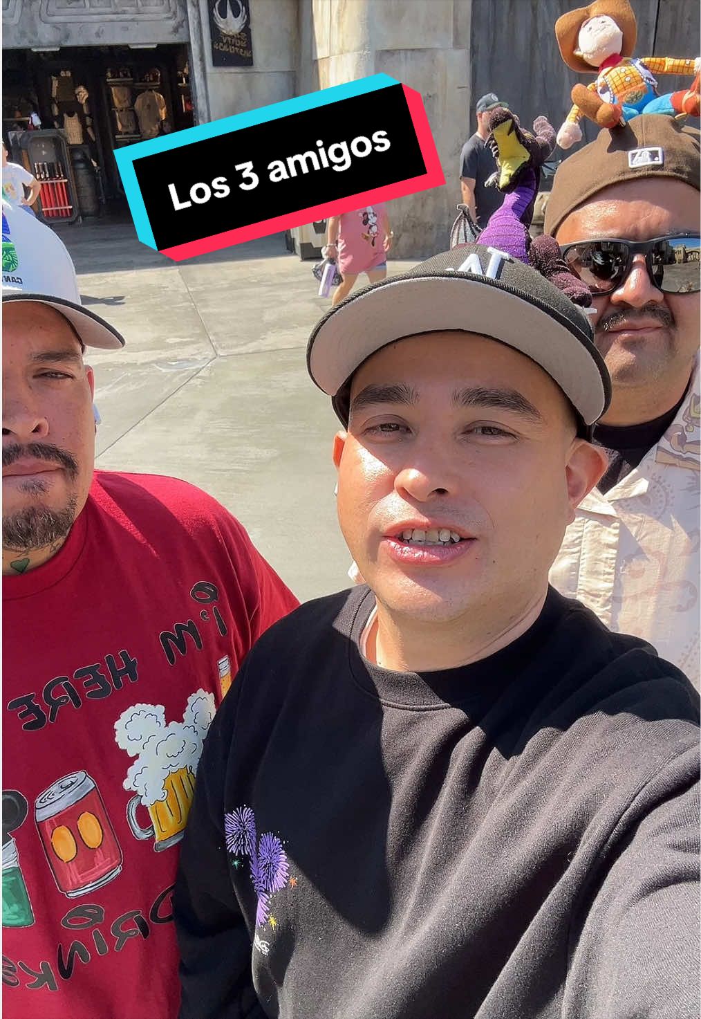 @En Disneylandia