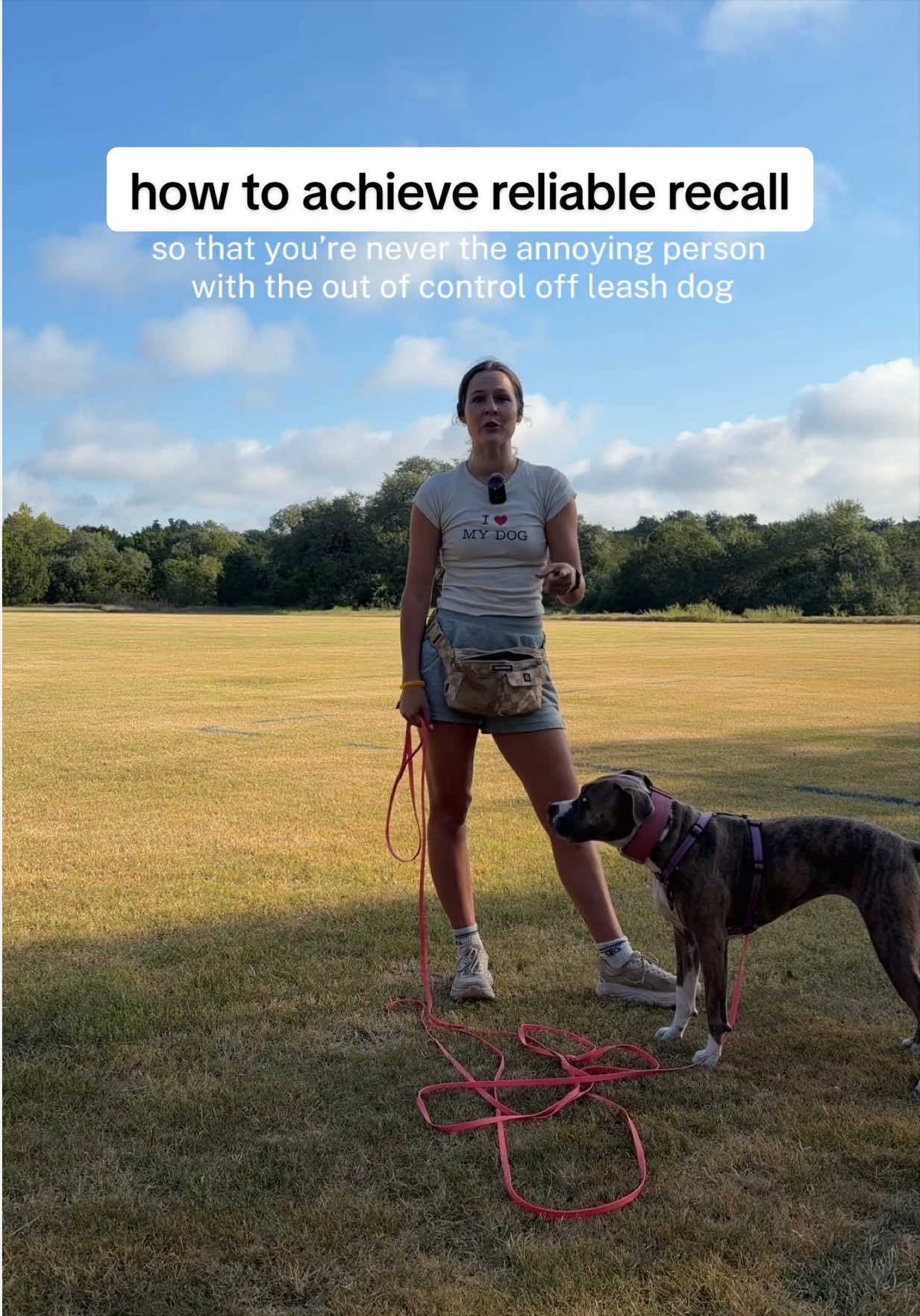 @Abby KPA-CTP | Dog Trainer