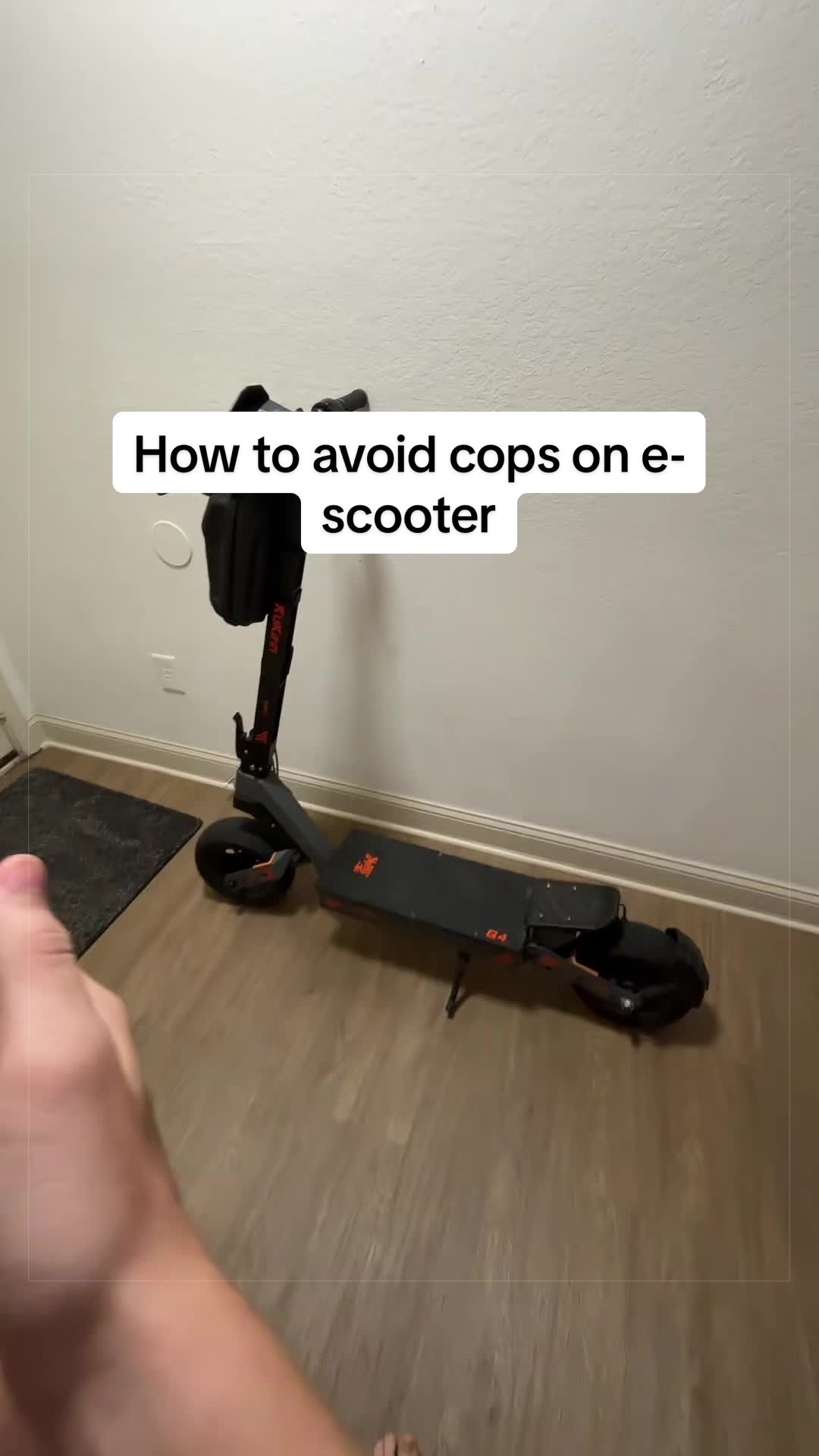 @Legal Moto Dealer