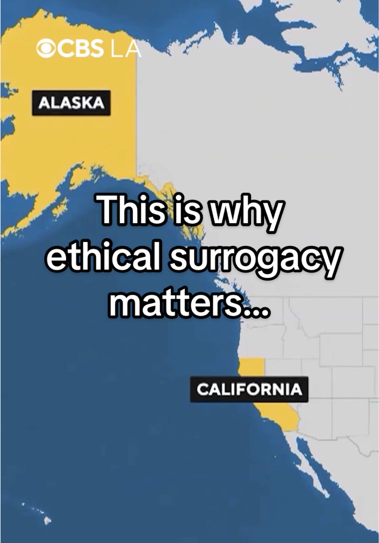 @Alcea Surrogacy