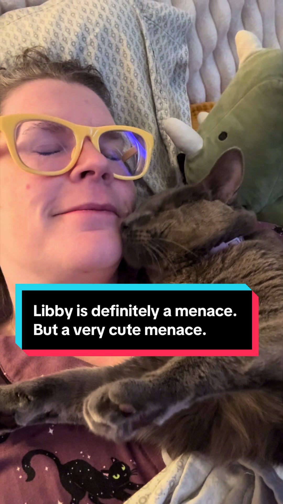 @my2blindcats