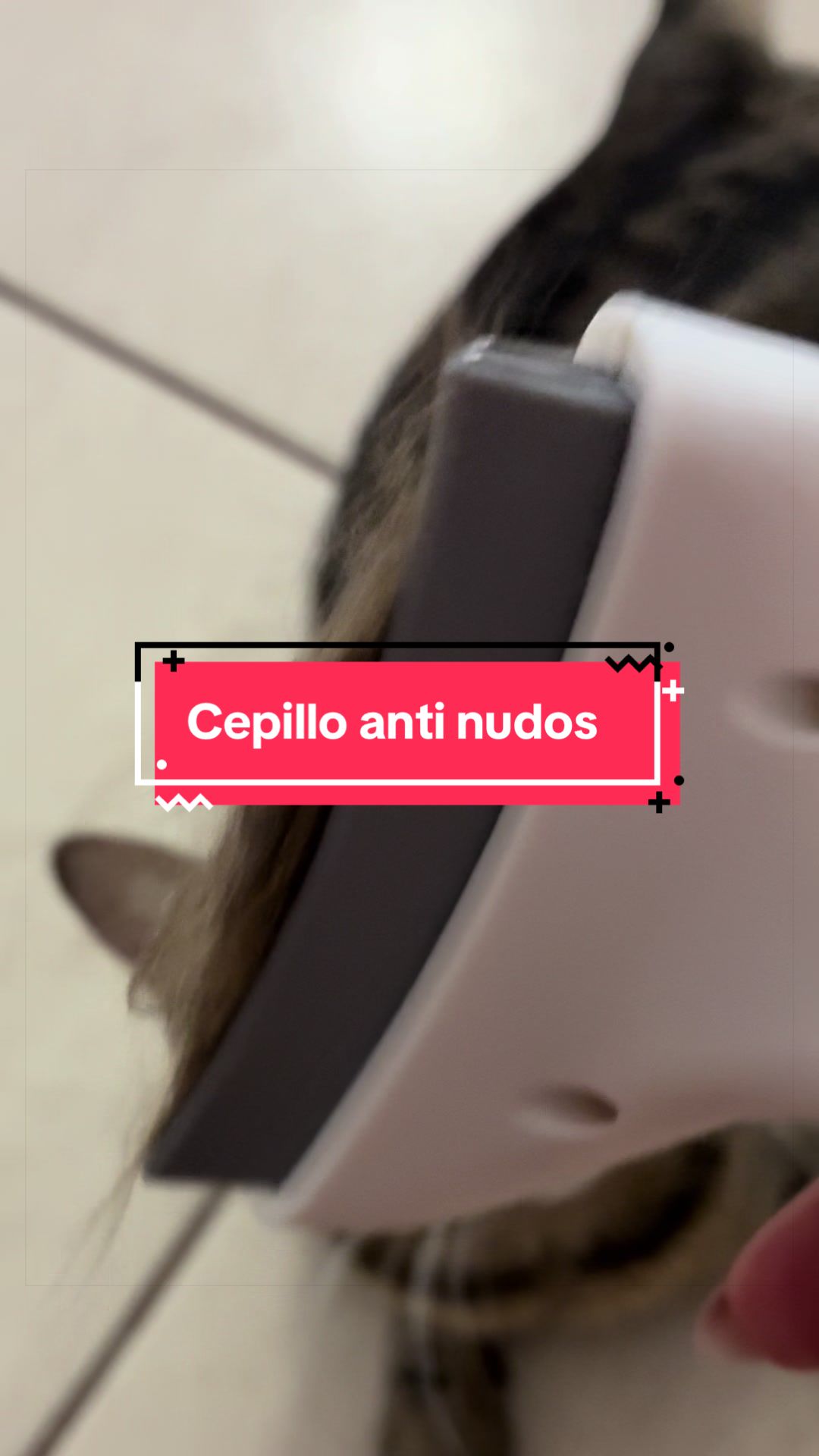 @Pily y Abelito