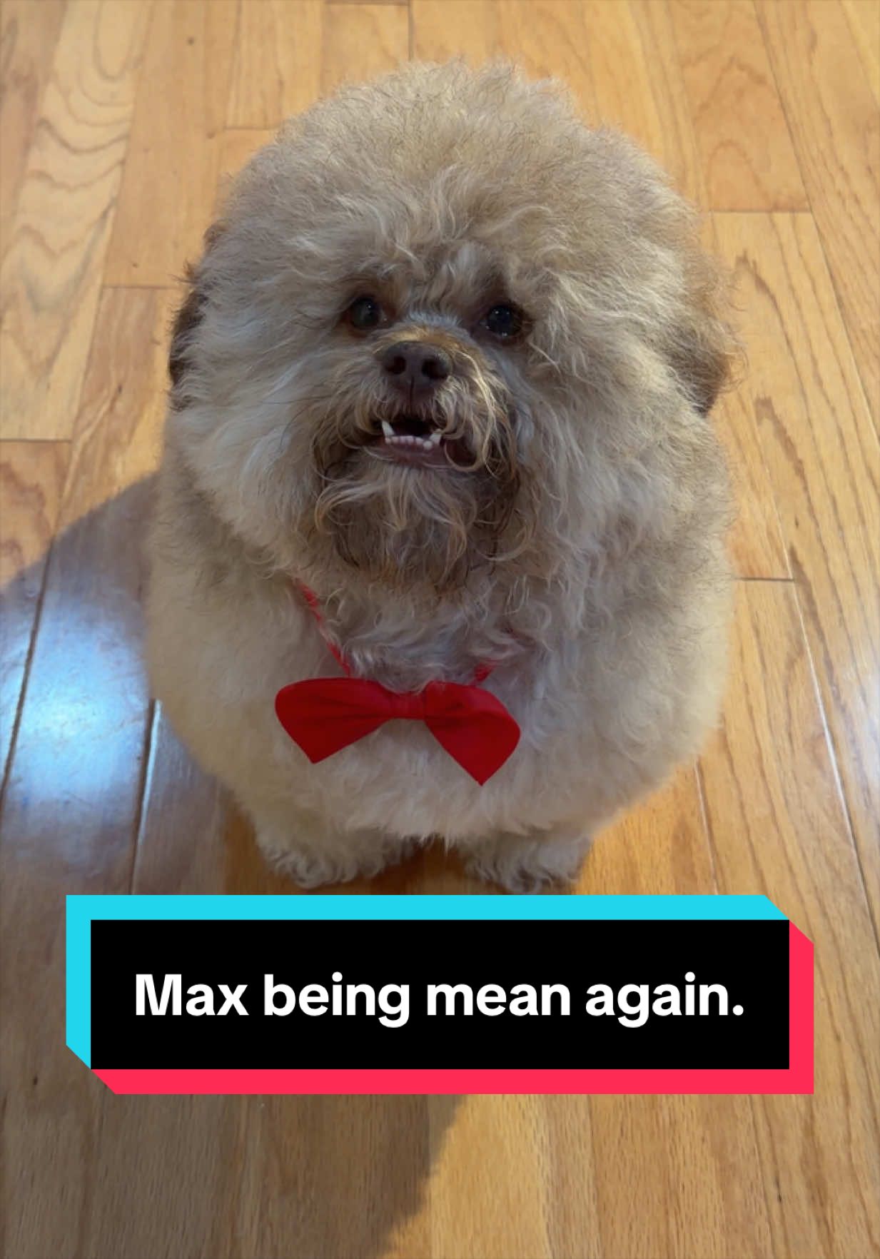 @Lil&rsquo; Max