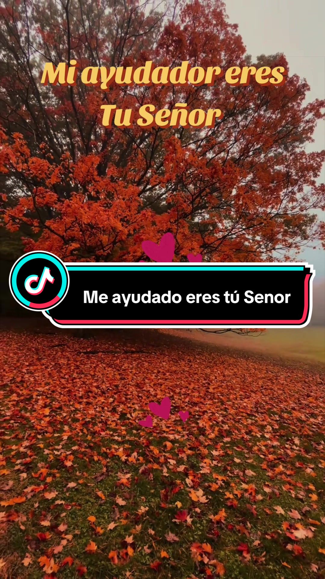 @Jose Hernandez