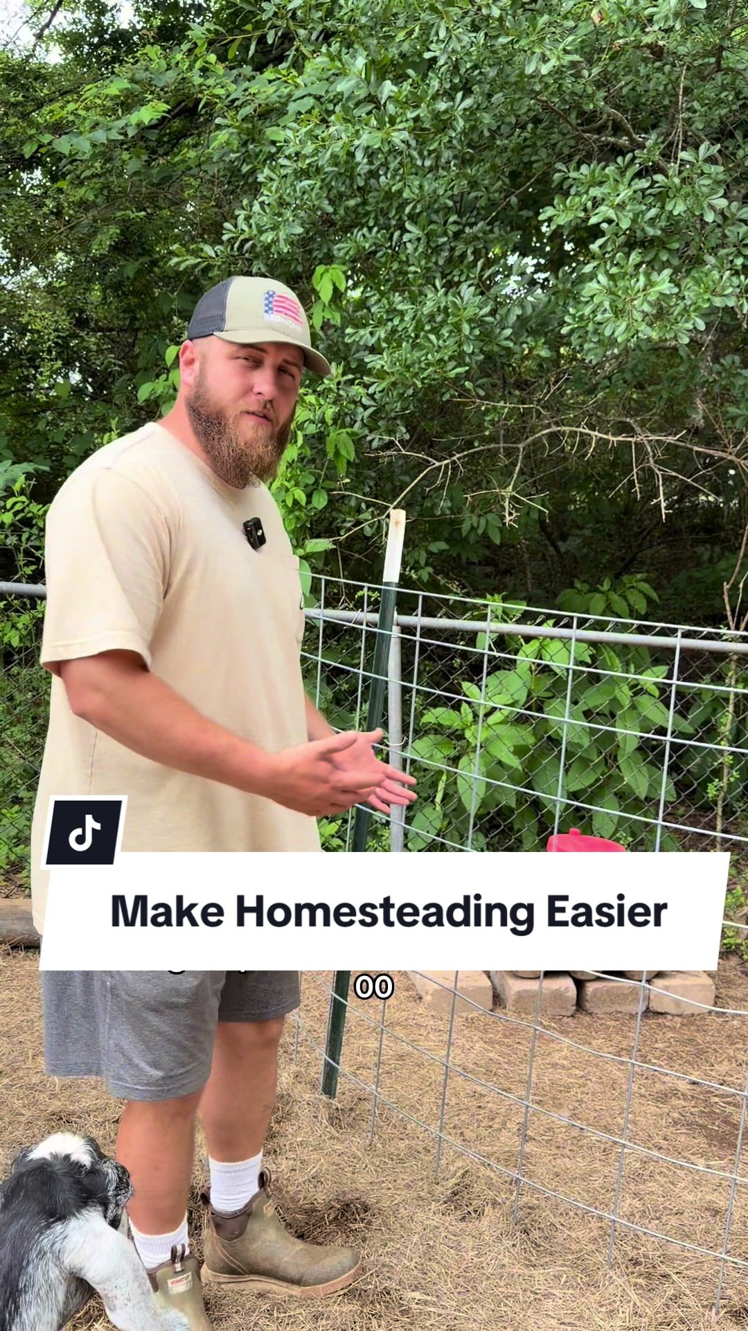 @Bandrhomestead