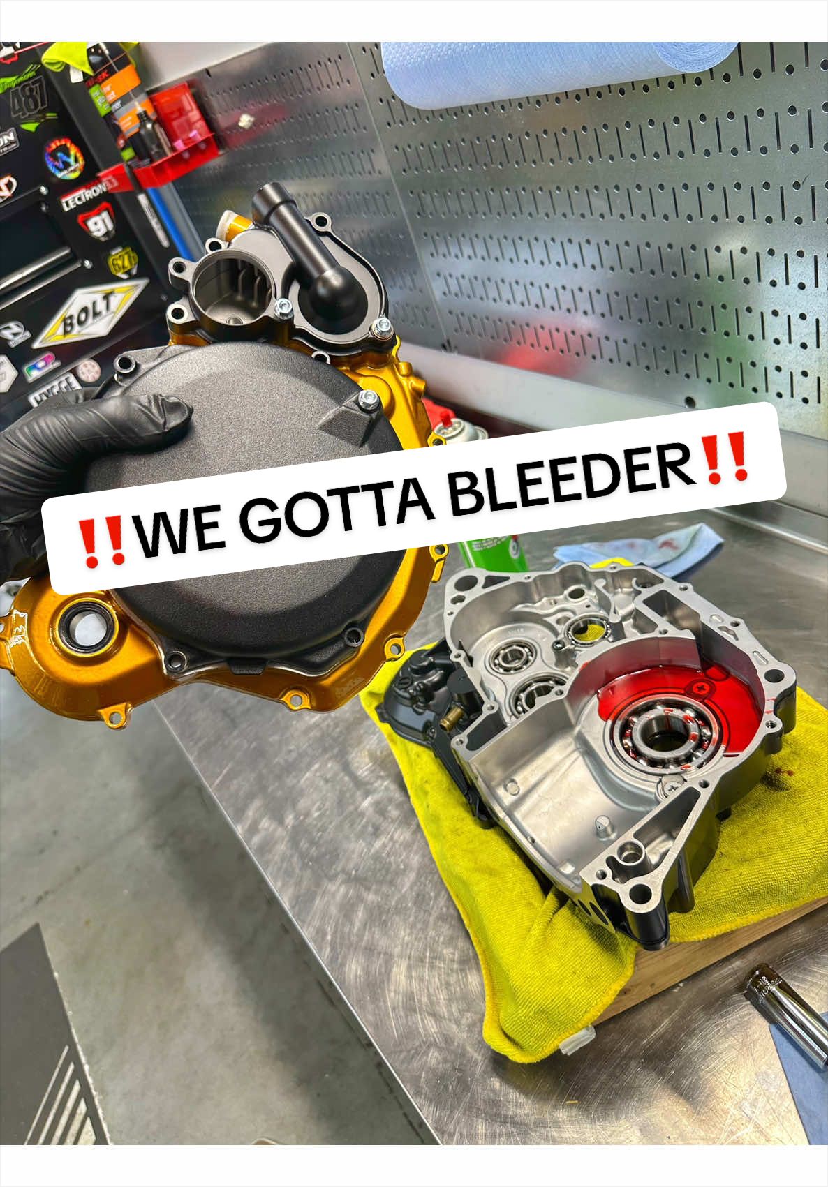 @mXrevival