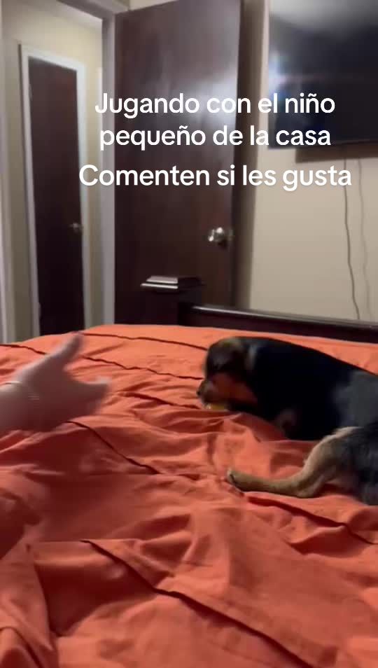 @yaudelcardenas