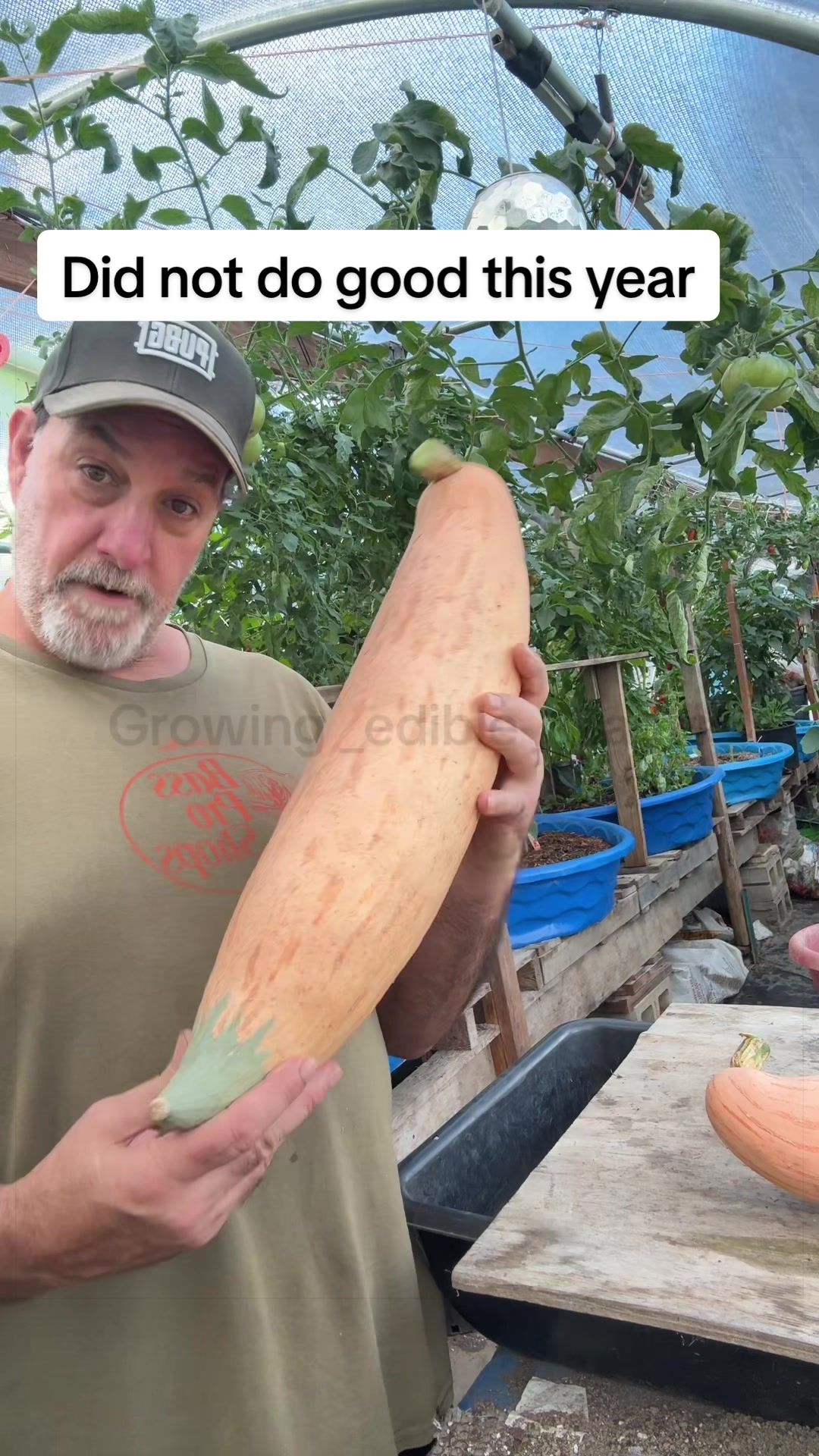 @GROWING_EDIBLE_PLANTS