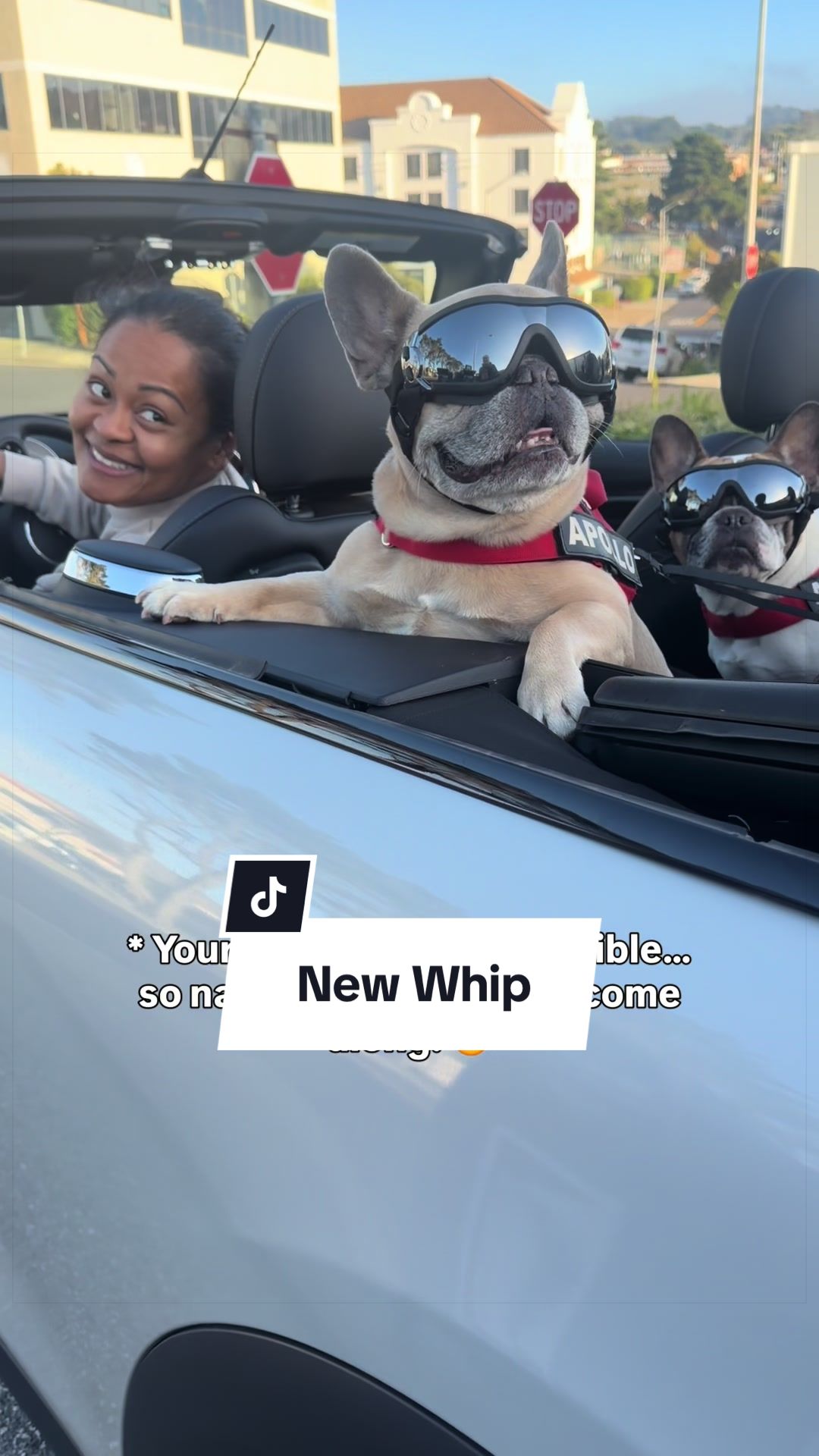 @Somefrenchienamedapollo