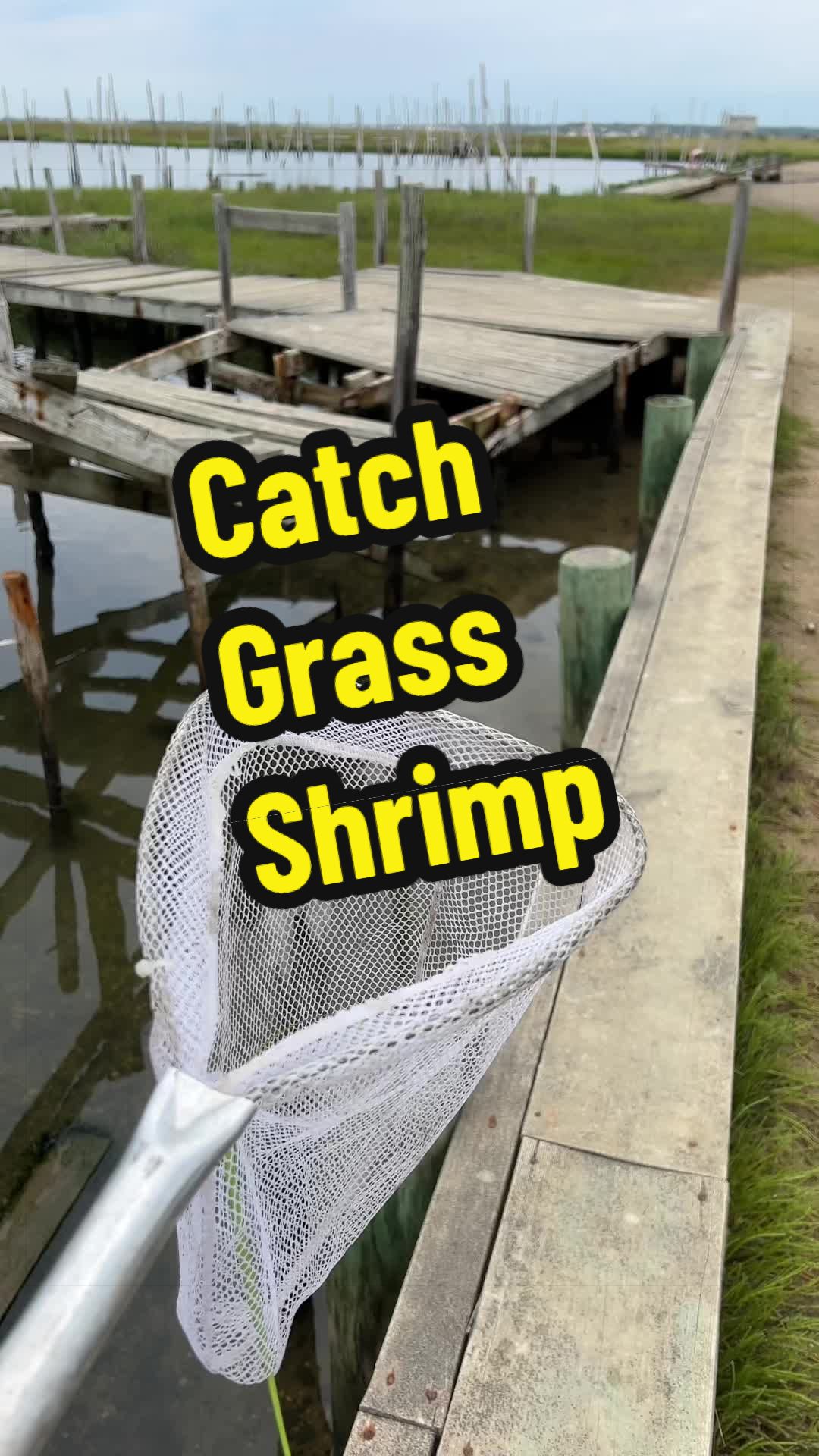 @For ReeLz Fishing 🎣