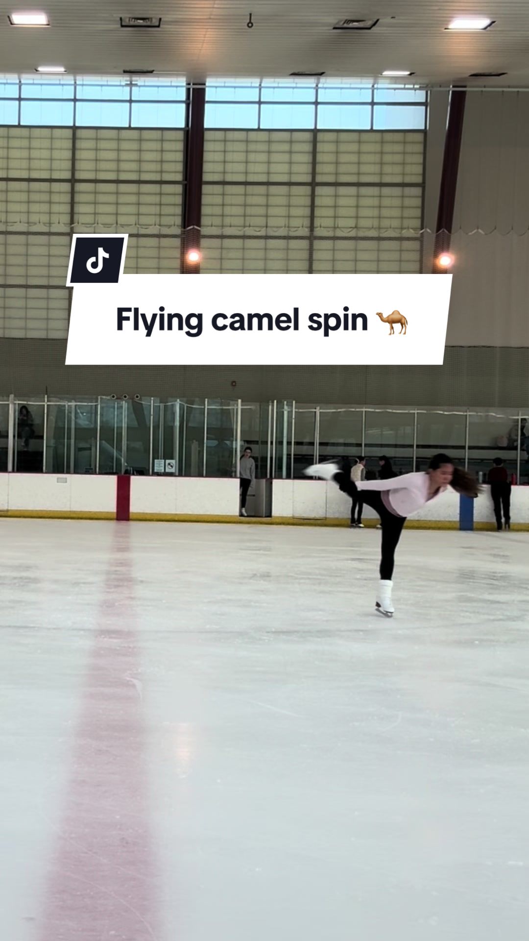 @michfitskates