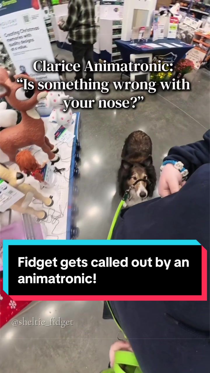 @Dakota & Pups