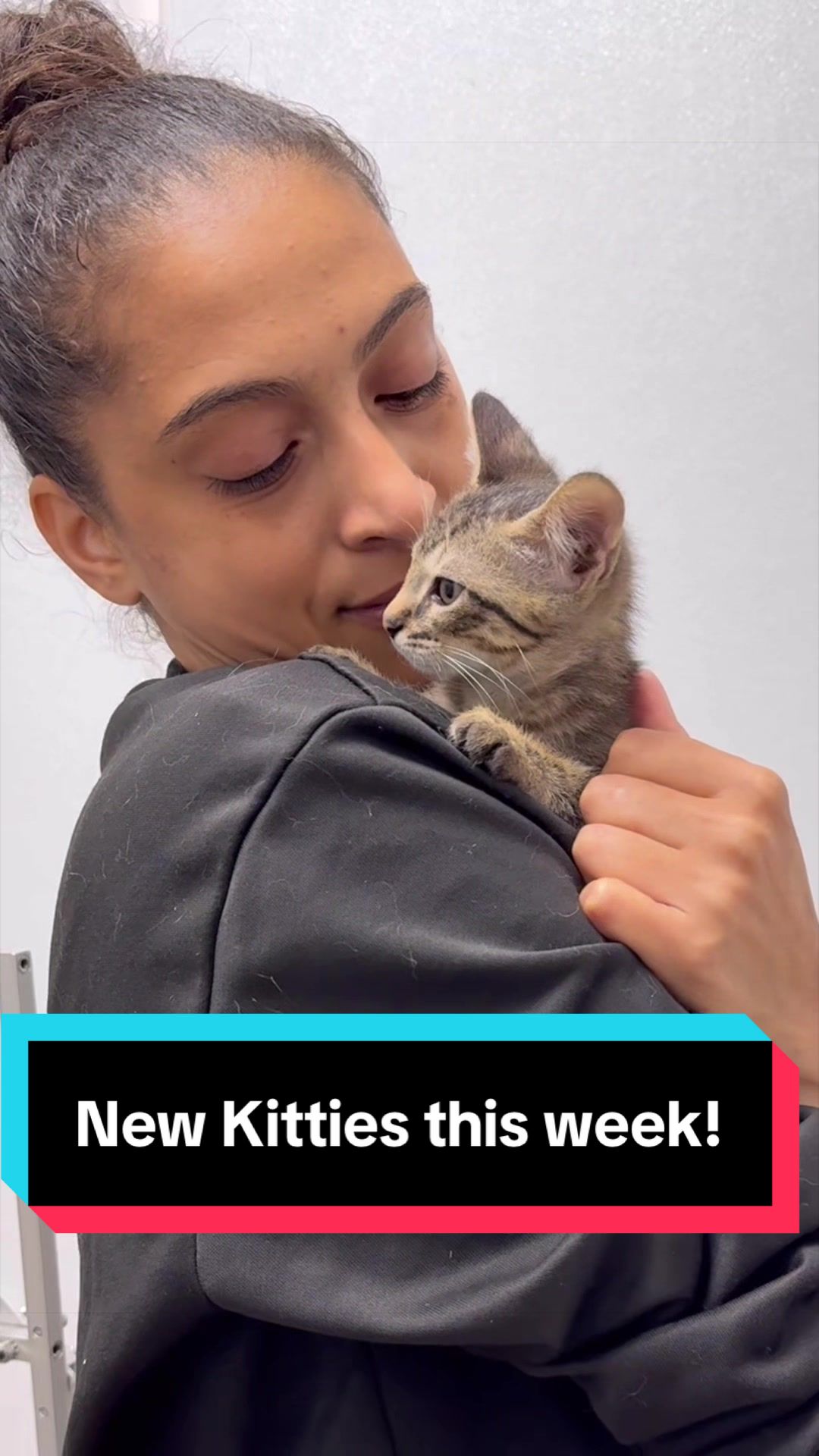 @The Cattery