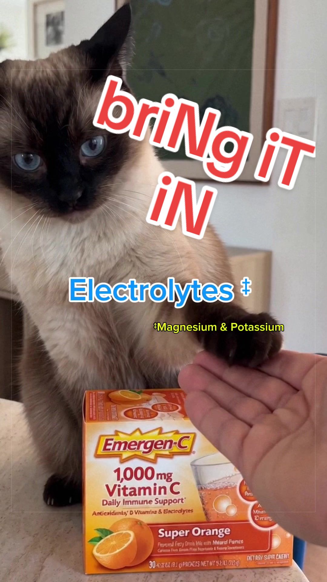 @Merv The Cat