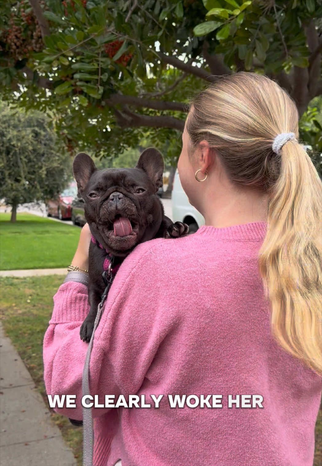 @Mabel the Frenchie
