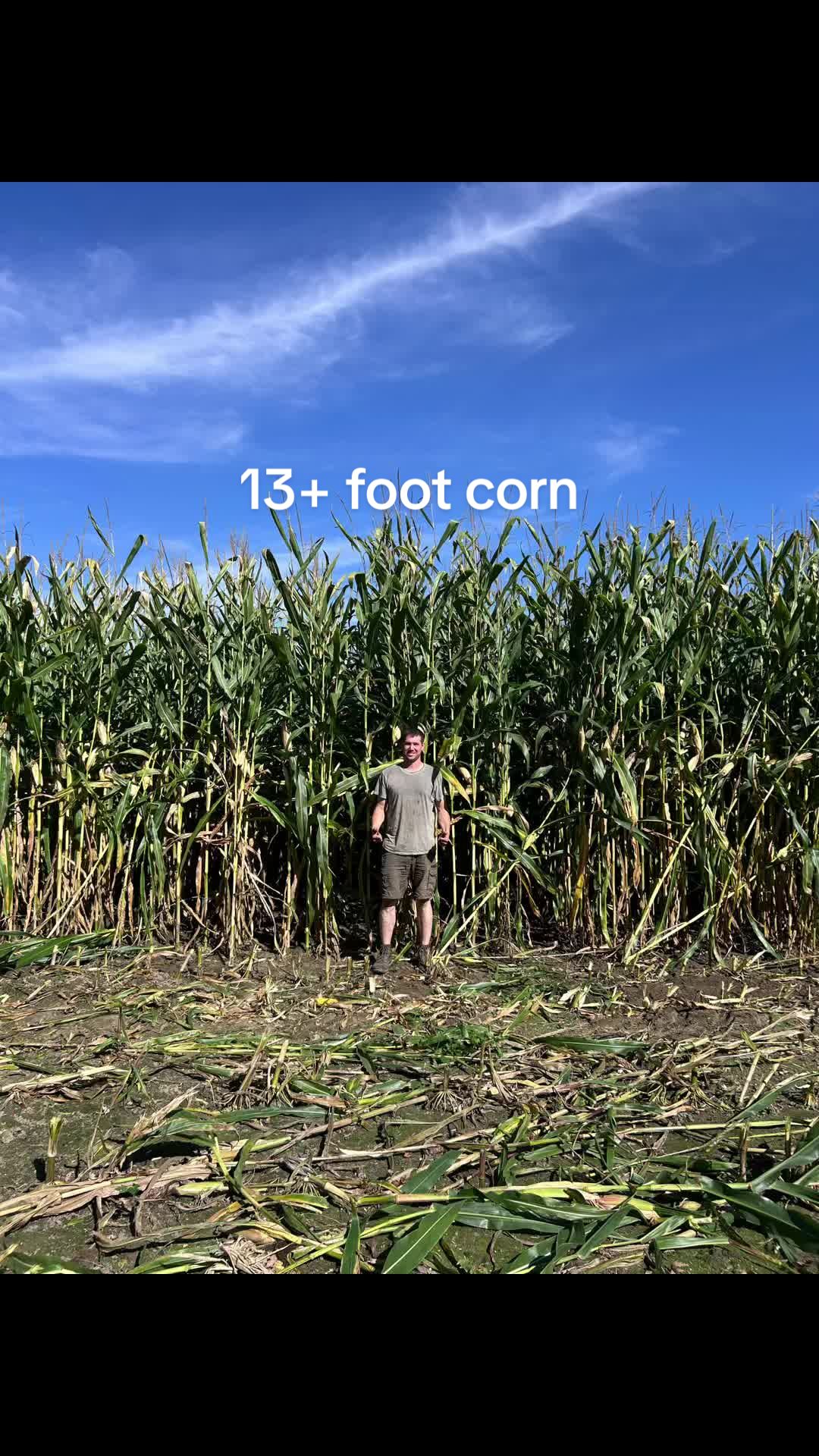 @802 farmers
