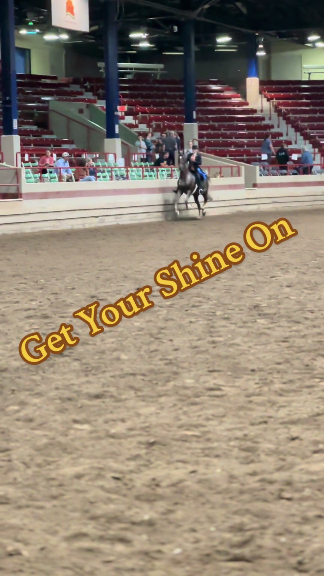 @Seraphim Stables