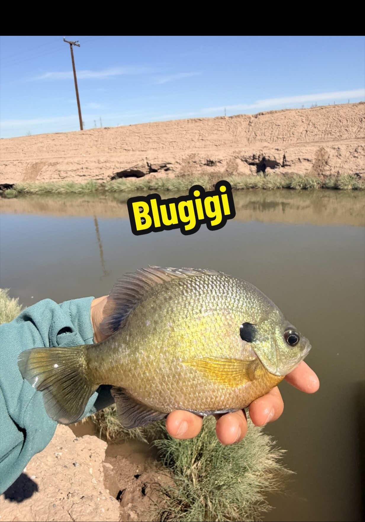 @Luu Nguyen Fishing