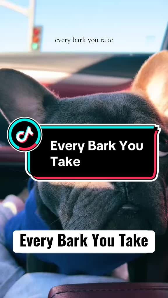 @Maki&ensp;the&ensp;Frenchie
