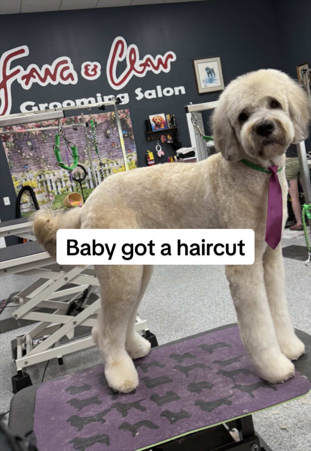 @Darci | Good Girl Fizz 🐾 💎