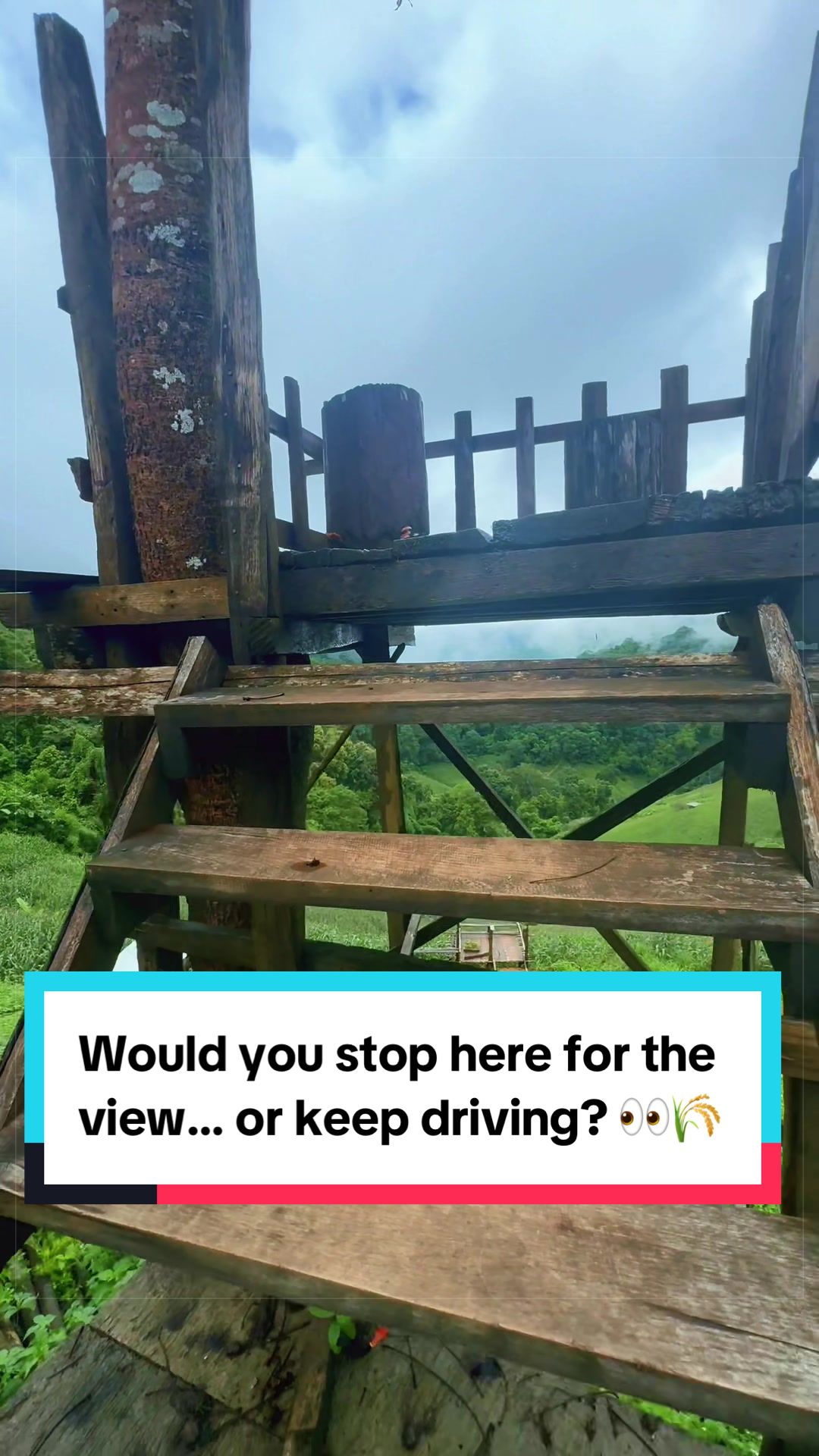 @FACEMAN