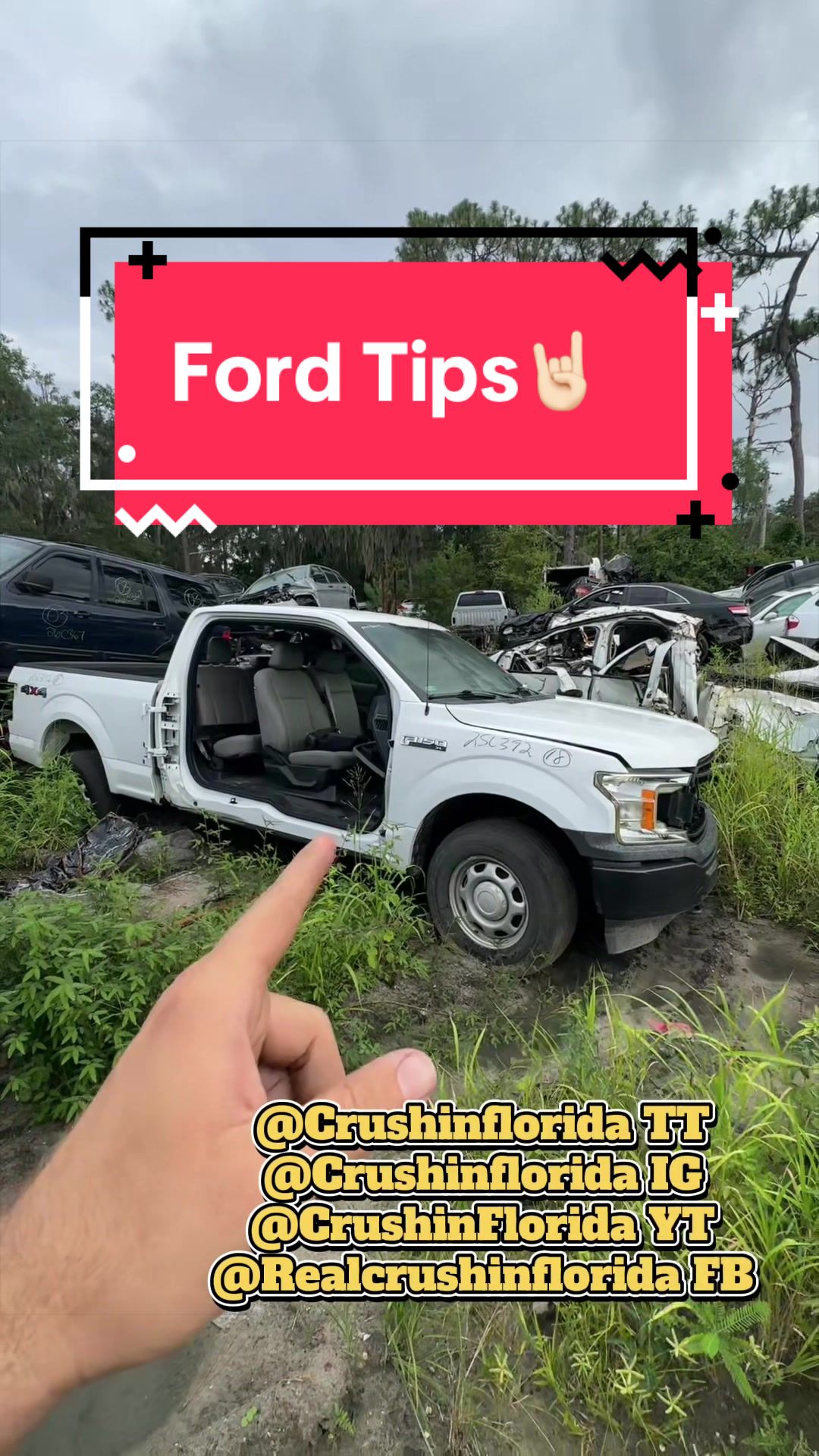 @Crushin Florida